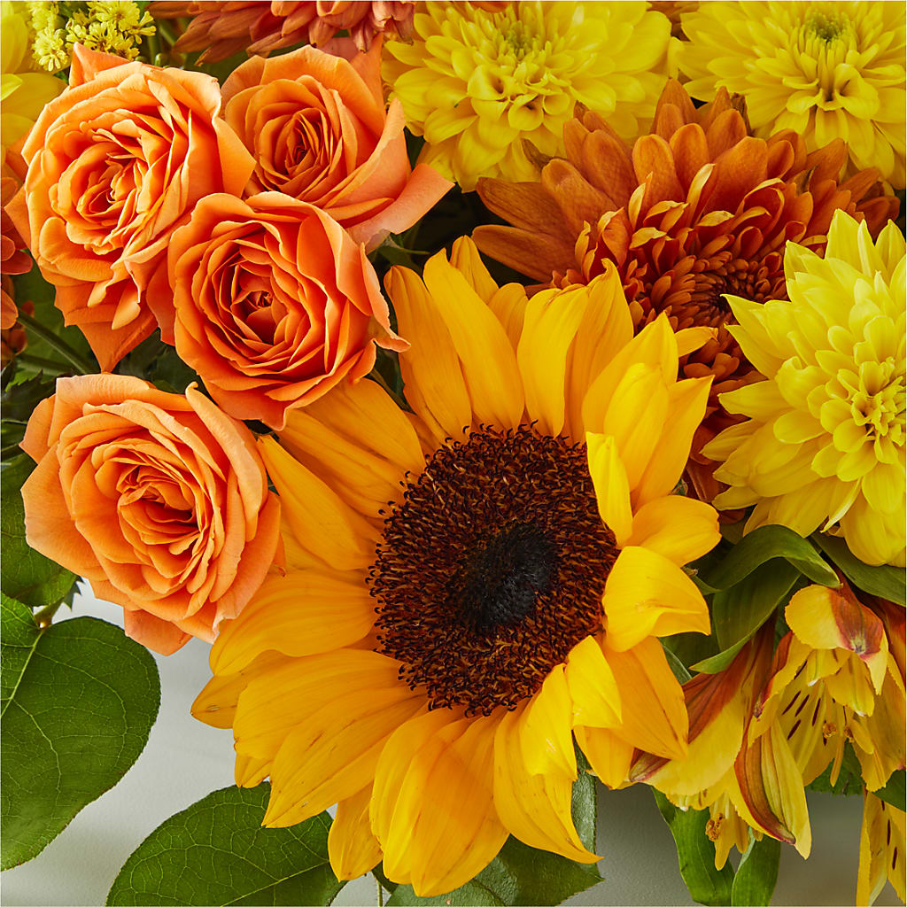 Autumn Harmony Centerpiece – BUDS CUT FLOWERS & MORE, Taos NM