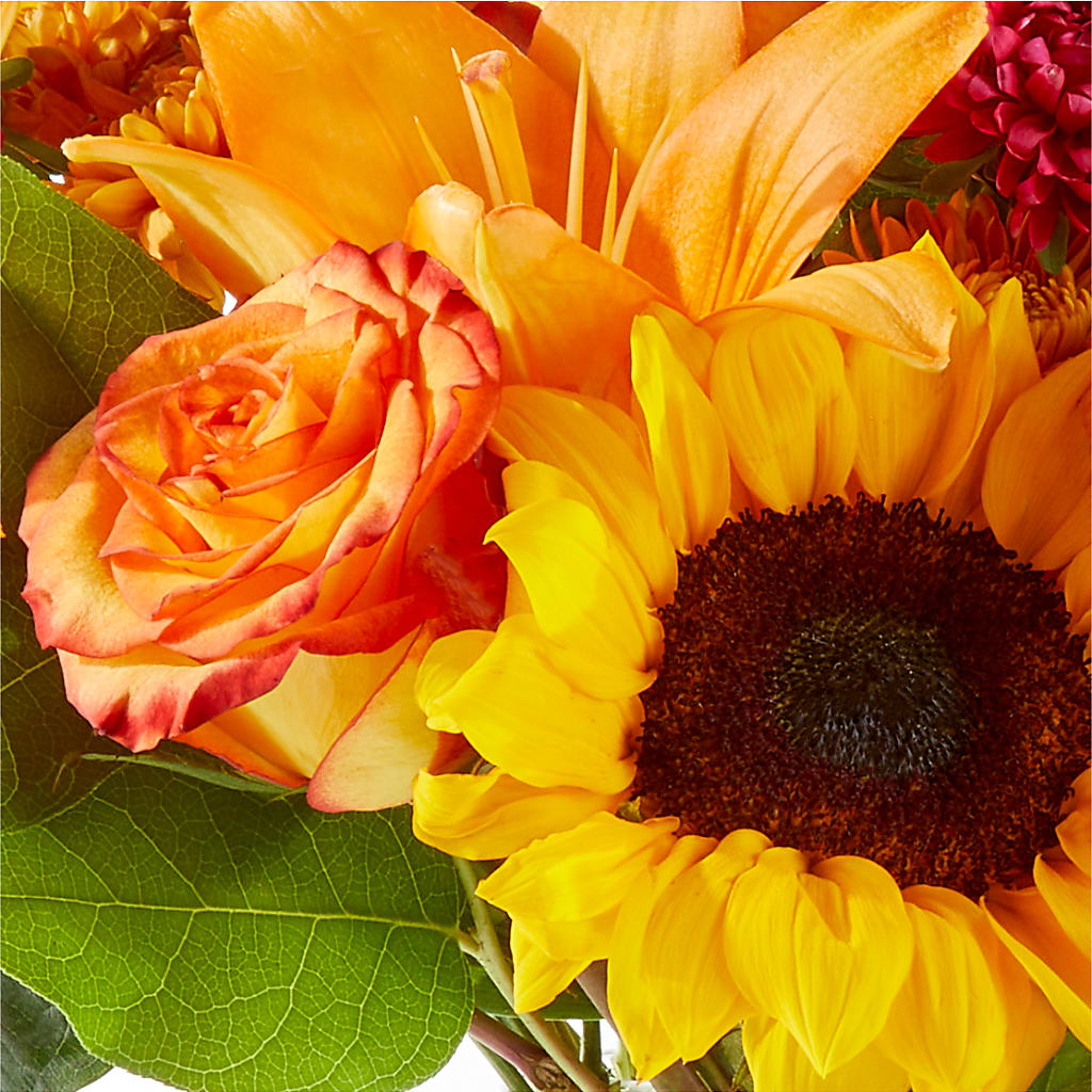 Fall Day Bouquet – BUDS CUT FLOWERS & MORE, Taos NM