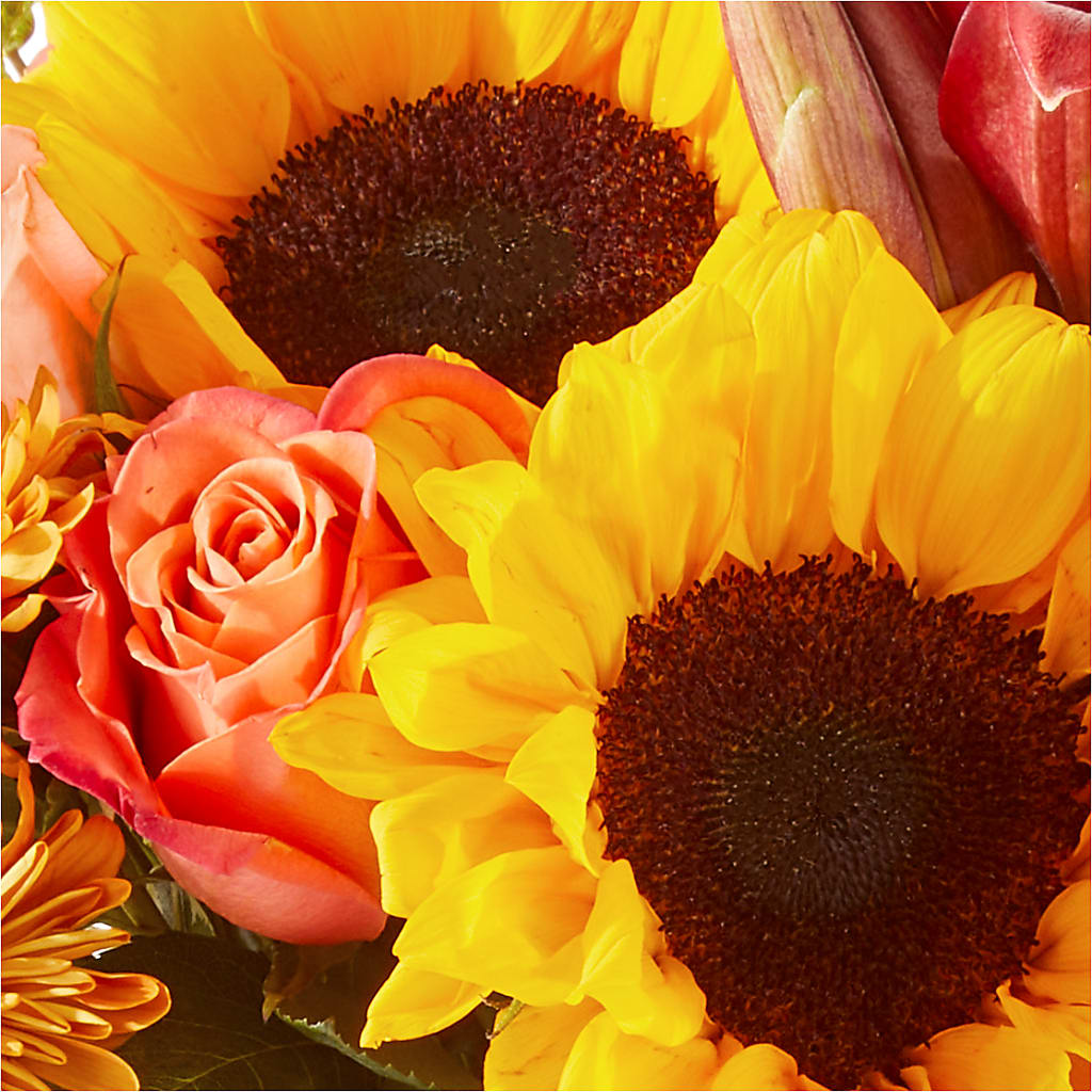 Acorn Lane Bouquet – BUDS CUT FLOWERS & MORE, Taos NM