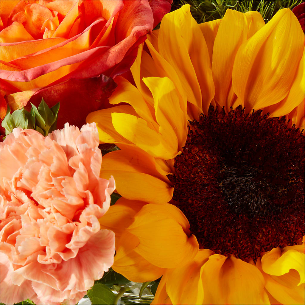 Harvest Festival Bouquet – BUDS CUT FLOWERS & MORE, Taos NM
