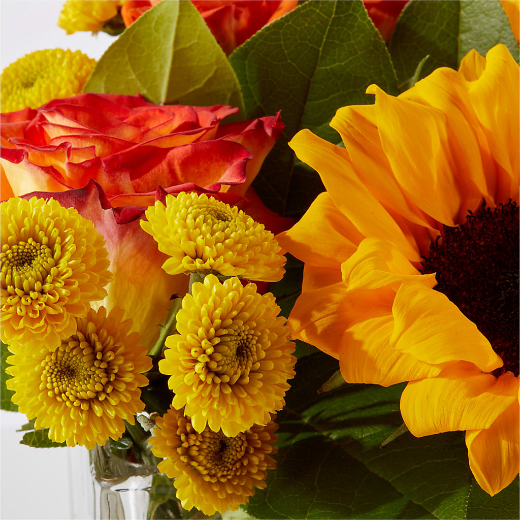 Picnic in the Park Bouquet – BUDS CUT FLOWERS & MORE, Taos NM