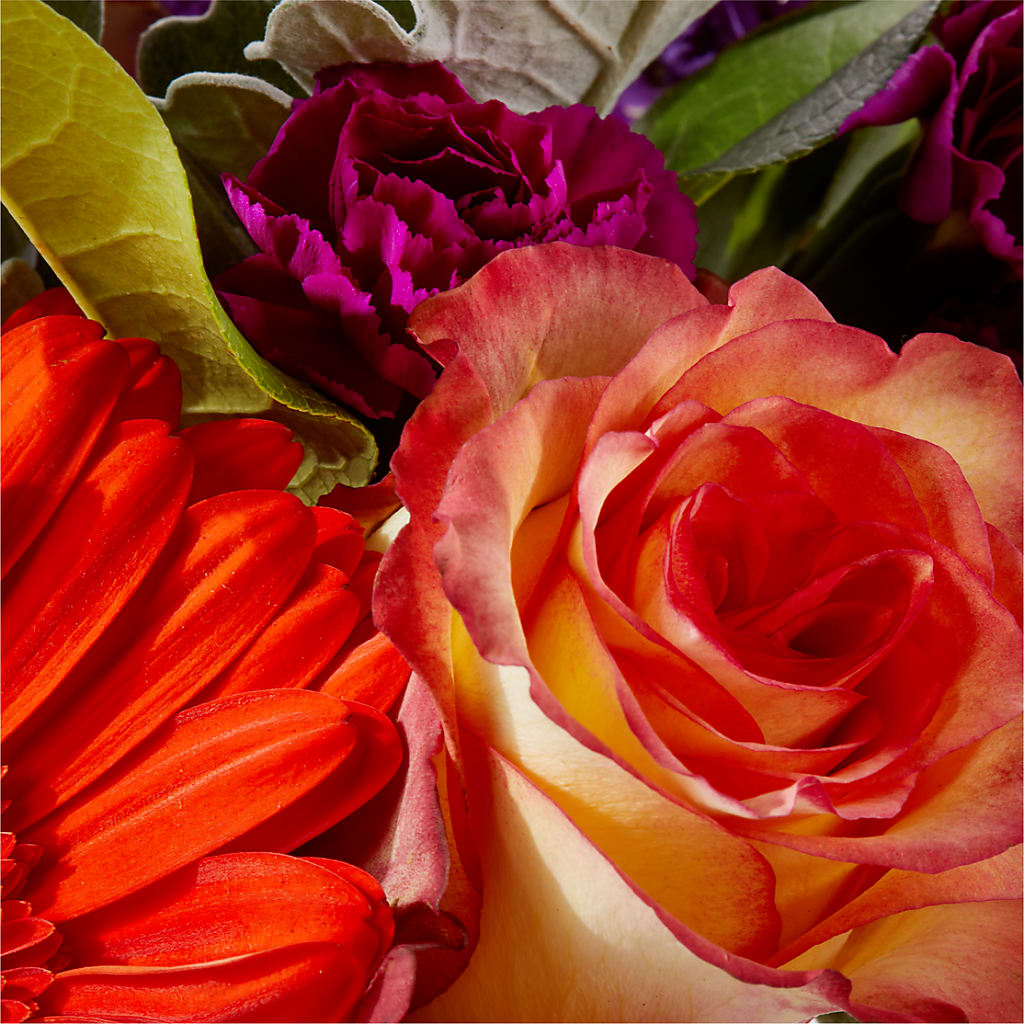 Sangria Bouquet – BUDS CUT FLOWERS & MORE, Taos NM