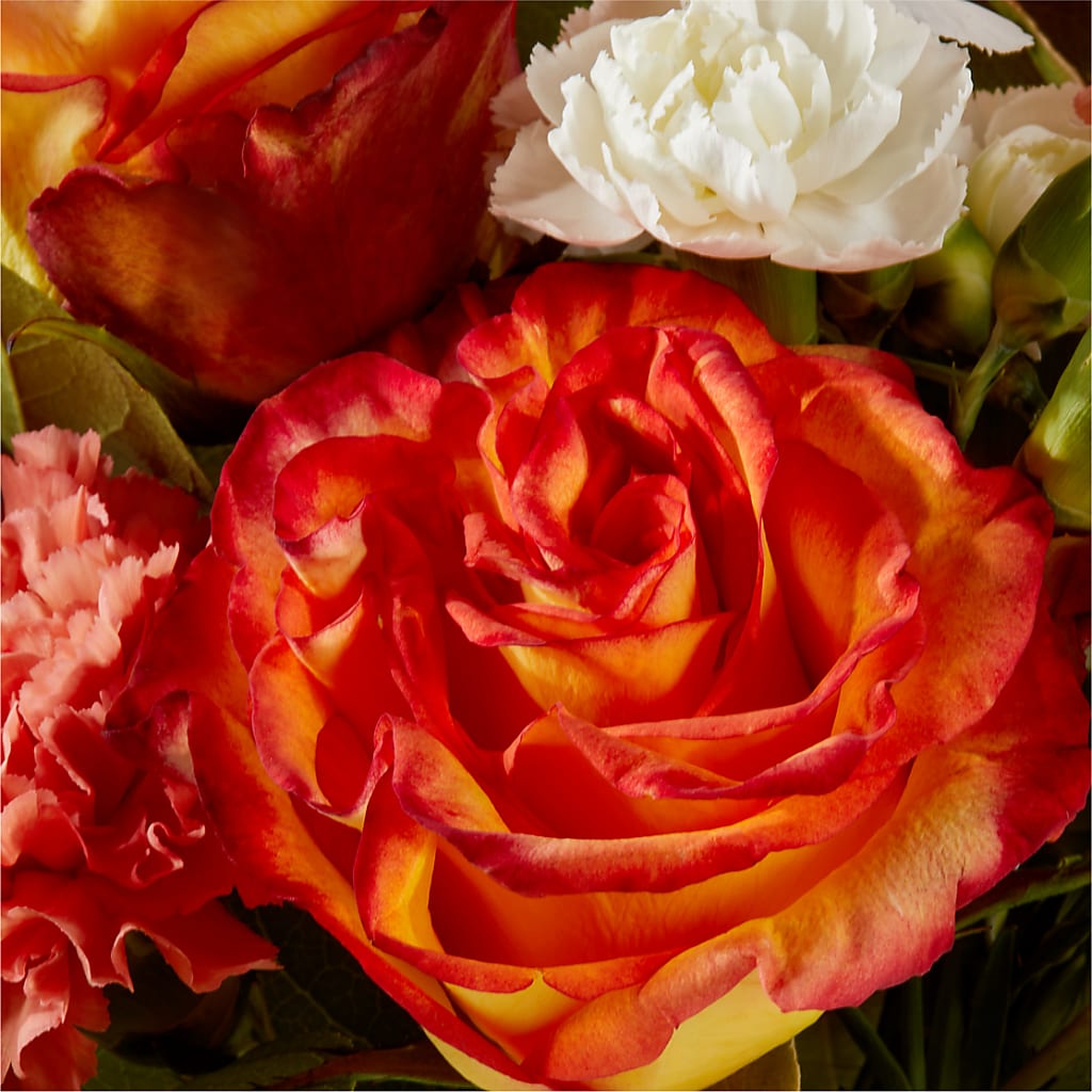 Apricot Glow Bouquet – BUDS CUT FLOWERS & MORE, Taos NM