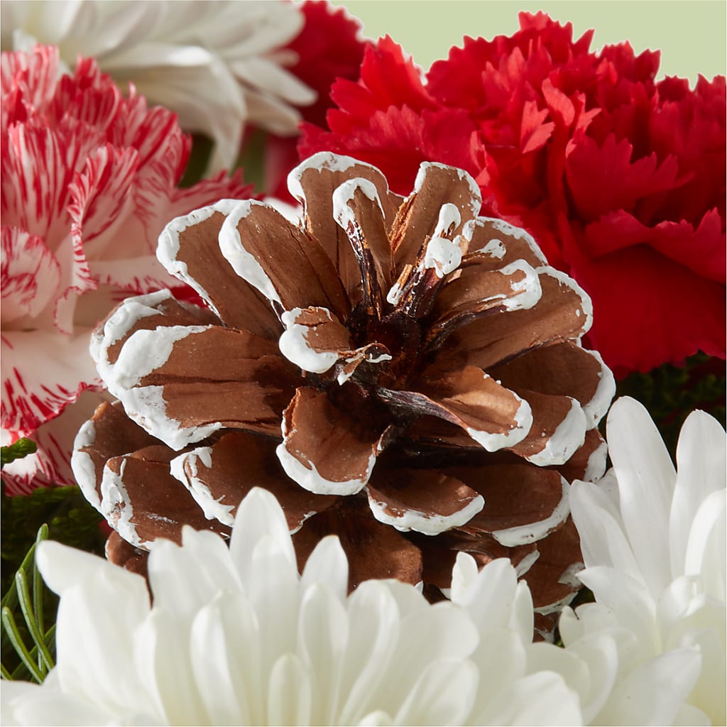 Candy Cane Lane Bouquet – BUDS CUT FLOWERS & MORE, Taos NM