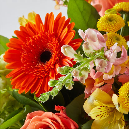 Autumn Sunshine Bouquet – BUDS CUT FLOWERS & MORE, Taos NM