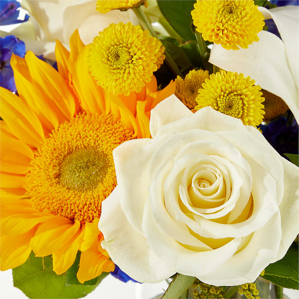 Stargazing Bouquet – BUDS CUT FLOWERS & MORE, Taos NM