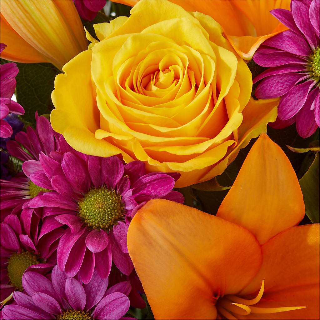 Colorful Visions Bouquet – BUDS CUT FLOWERS & MORE, Taos NM