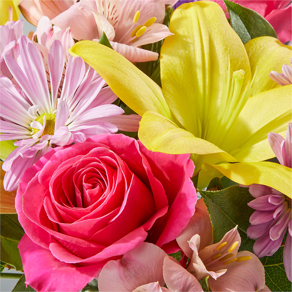 Sprinkles Bouquet – BUDS CUT FLOWERS & MORE, Taos NM
