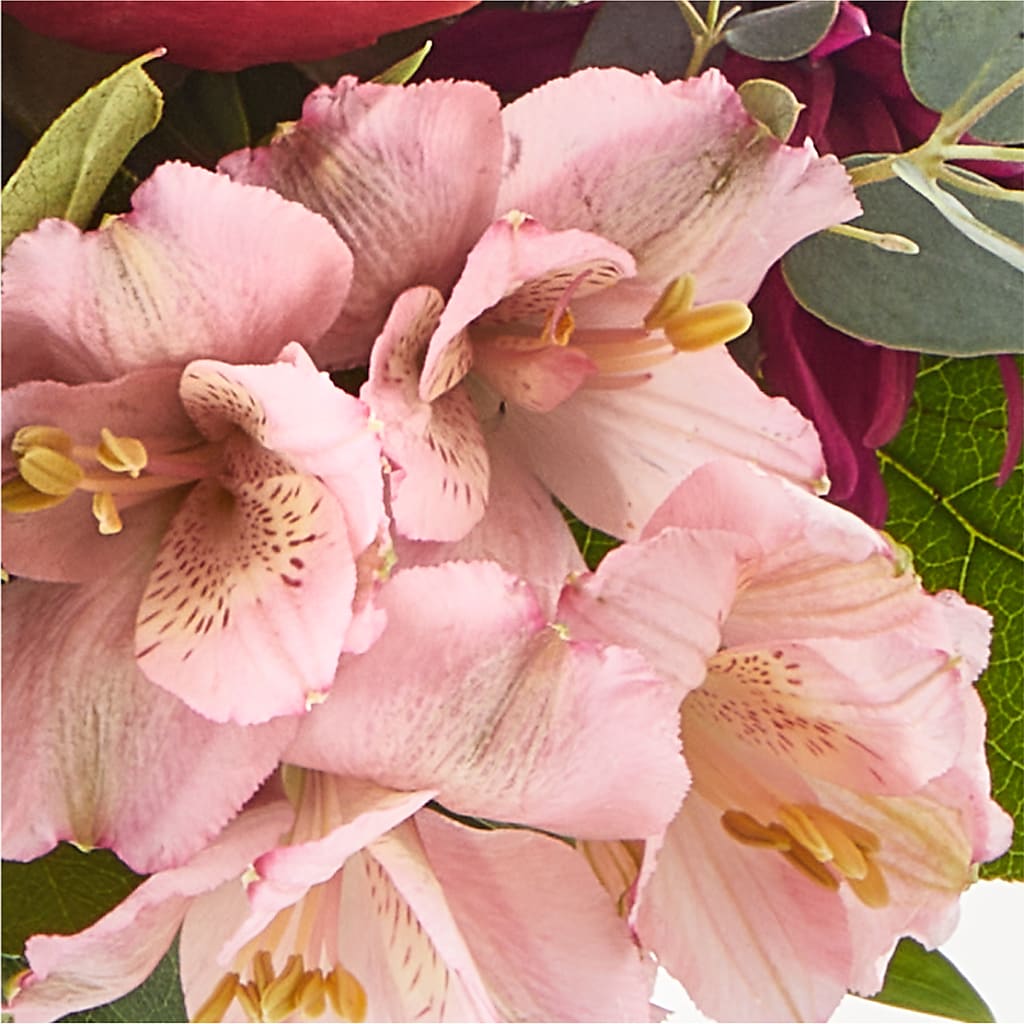 Berry Cobbler Bouquet – BUDS CUT FLOWERS & MORE, Taos NM