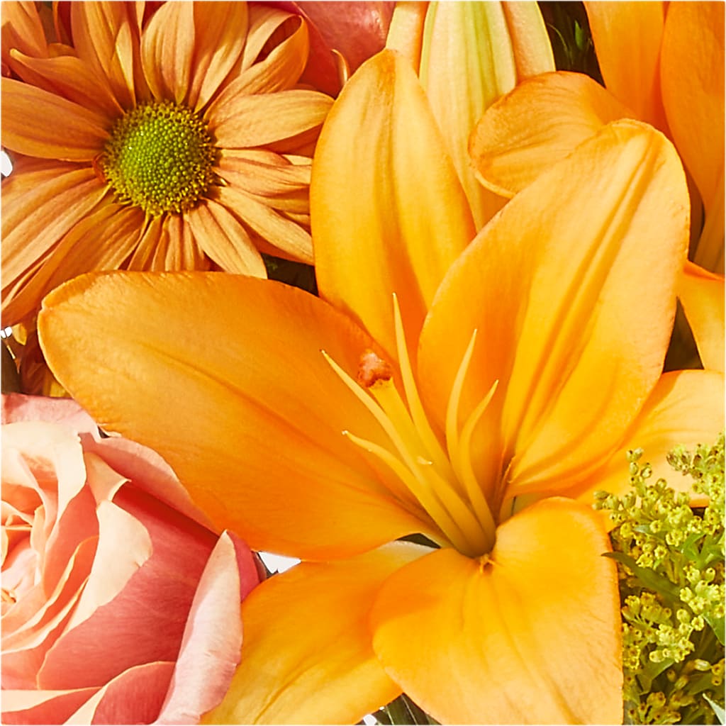 Harvest Hayride Bouquet – BUDS CUT FLOWERS & MORE, Taos NM