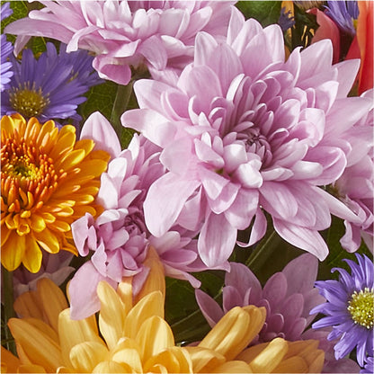 Countryside Bouquet – BUDS CUT FLOWERS & MORE, Taos NM