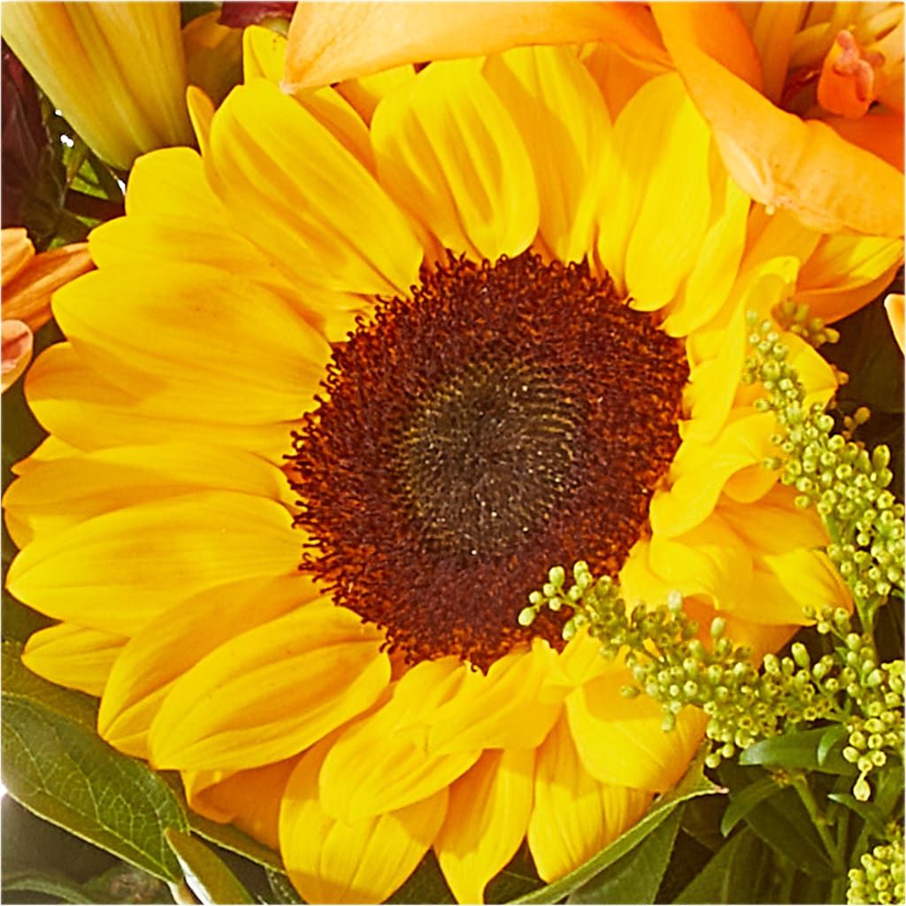 Seasons Change Bouquet – BUDS CUT FLOWERS & MORE, Taos NM