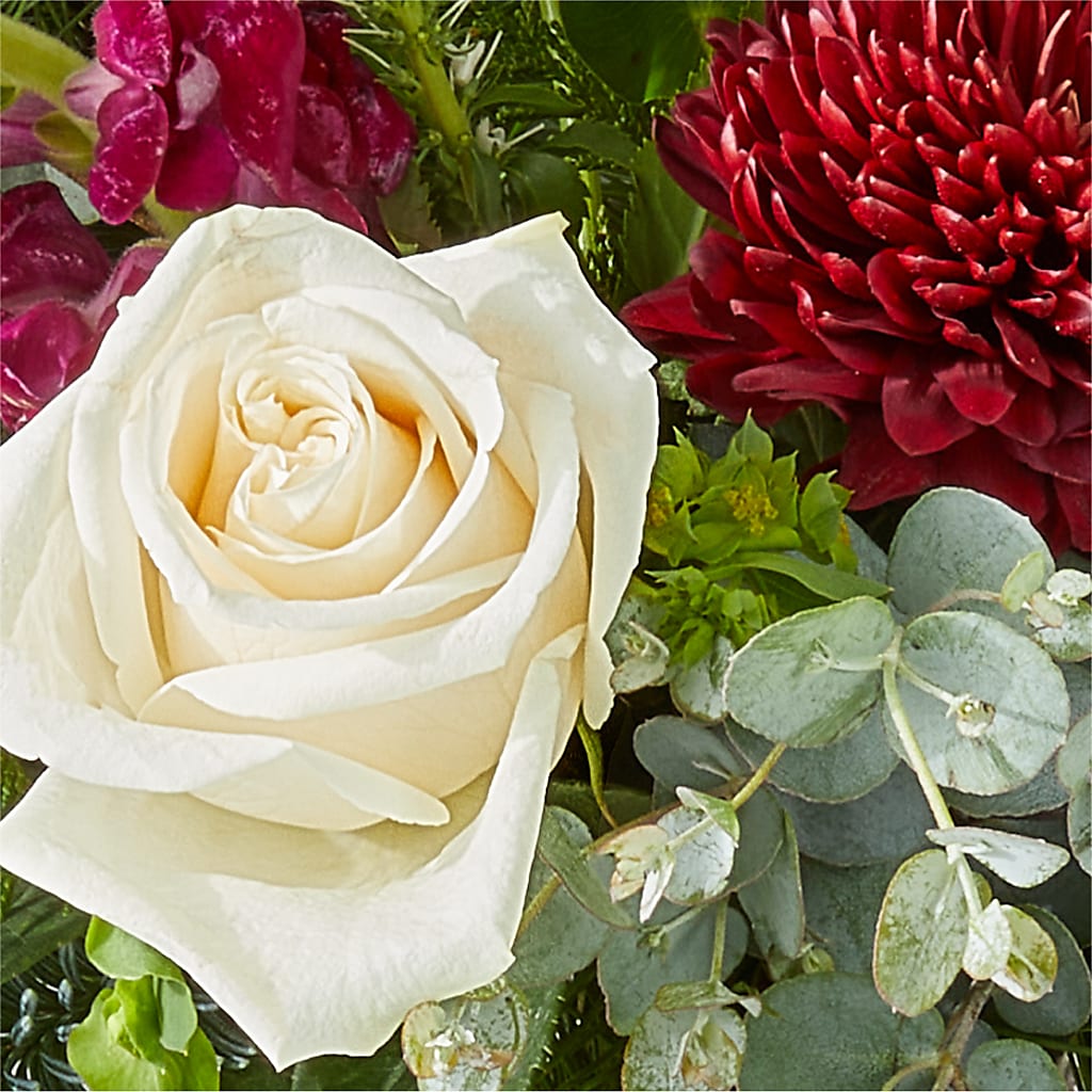 Cranberry Fizz Bouquet – BUDS CUT FLOWERS & MORE, Taos NM