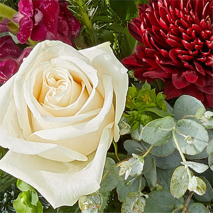 Cranberry Fizz Bouquet – BUDS CUT FLOWERS & MORE, Taos NM