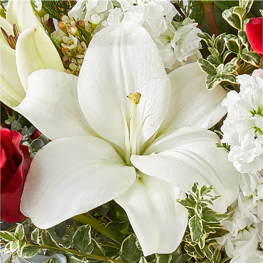 Twinkle Lights Bouquet – BUDS CUT FLOWERS & MORE, Taos NM
