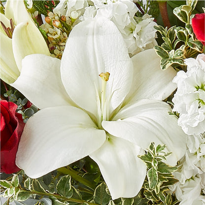 Twinkle Lights Bouquet – BUDS CUT FLOWERS & MORE, Taos NM