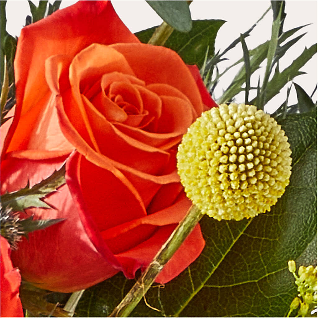 Disco Bouquet – BUDS CUT FLOWERS & MORE, Taos NM