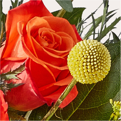 Disco Bouquet – BUDS CUT FLOWERS & MORE, Taos NM