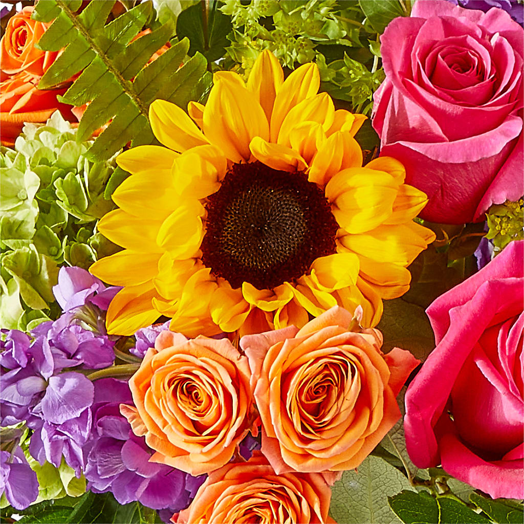 Vibrant Greetings Bouquet – BUDS CUT FLOWERS & MORE, Taos NM