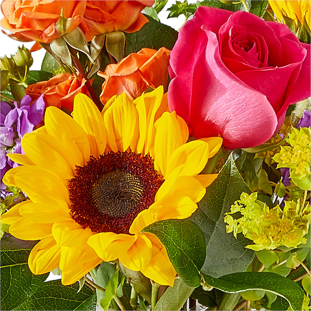 Vibrant Greetings Bouquet – BUDS CUT FLOWERS & MORE, Taos NM