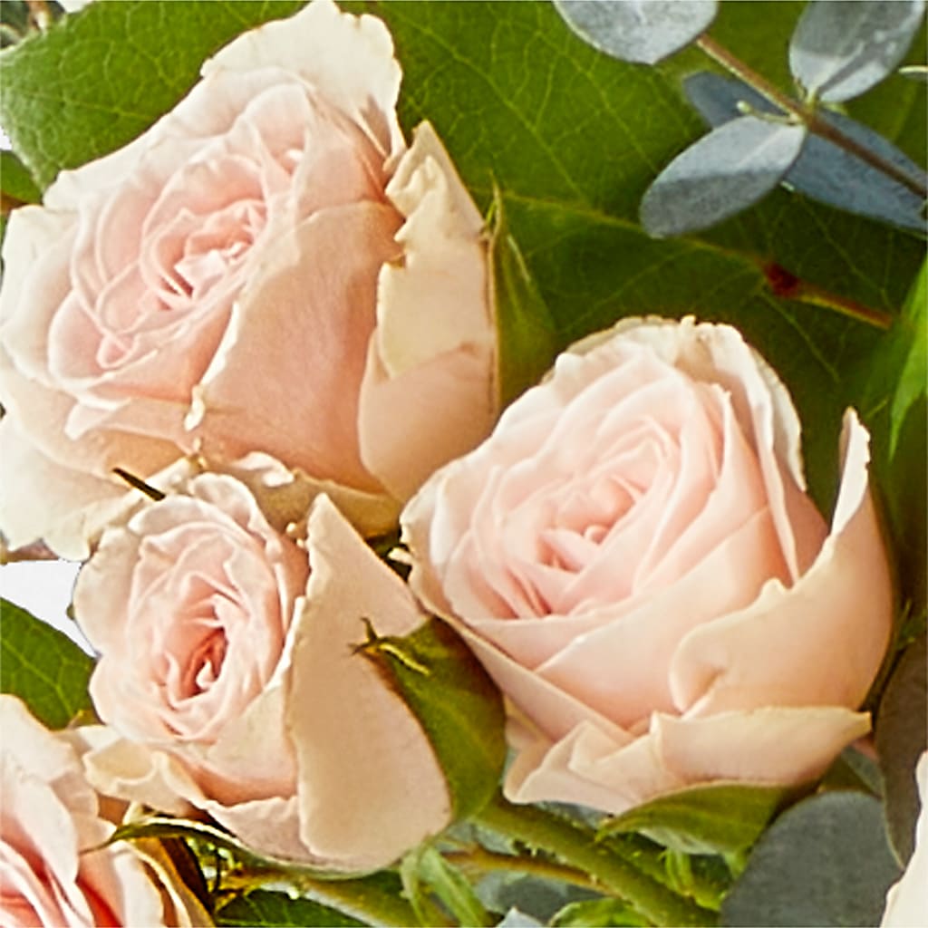 Inspired Bouquet – BUDS CUT FLOWERS & MORE, Taos NM