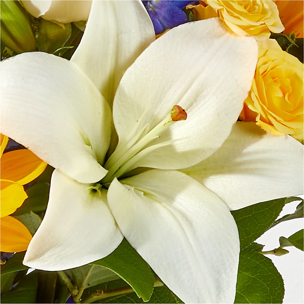 Wonderfully Sunny Bouquet – BUDS CUT FLOWERS & MORE, Taos NM
