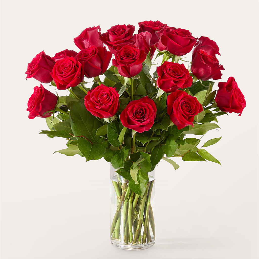 The One Red Rose Bouquet – BUDS CUT FLOWERS & MORE, Taos NM