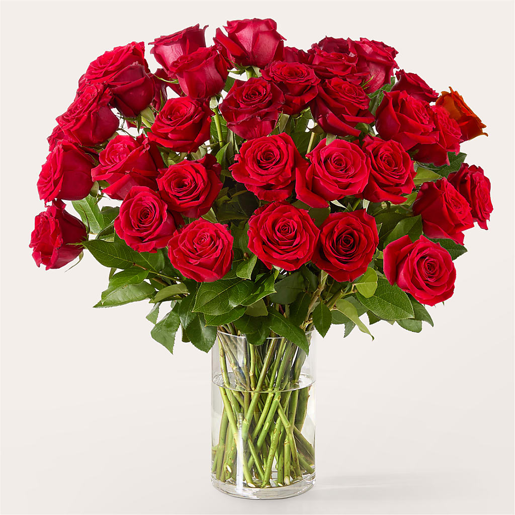 The One Red Rose Bouquet – BUDS CUT FLOWERS & MORE, Taos NM