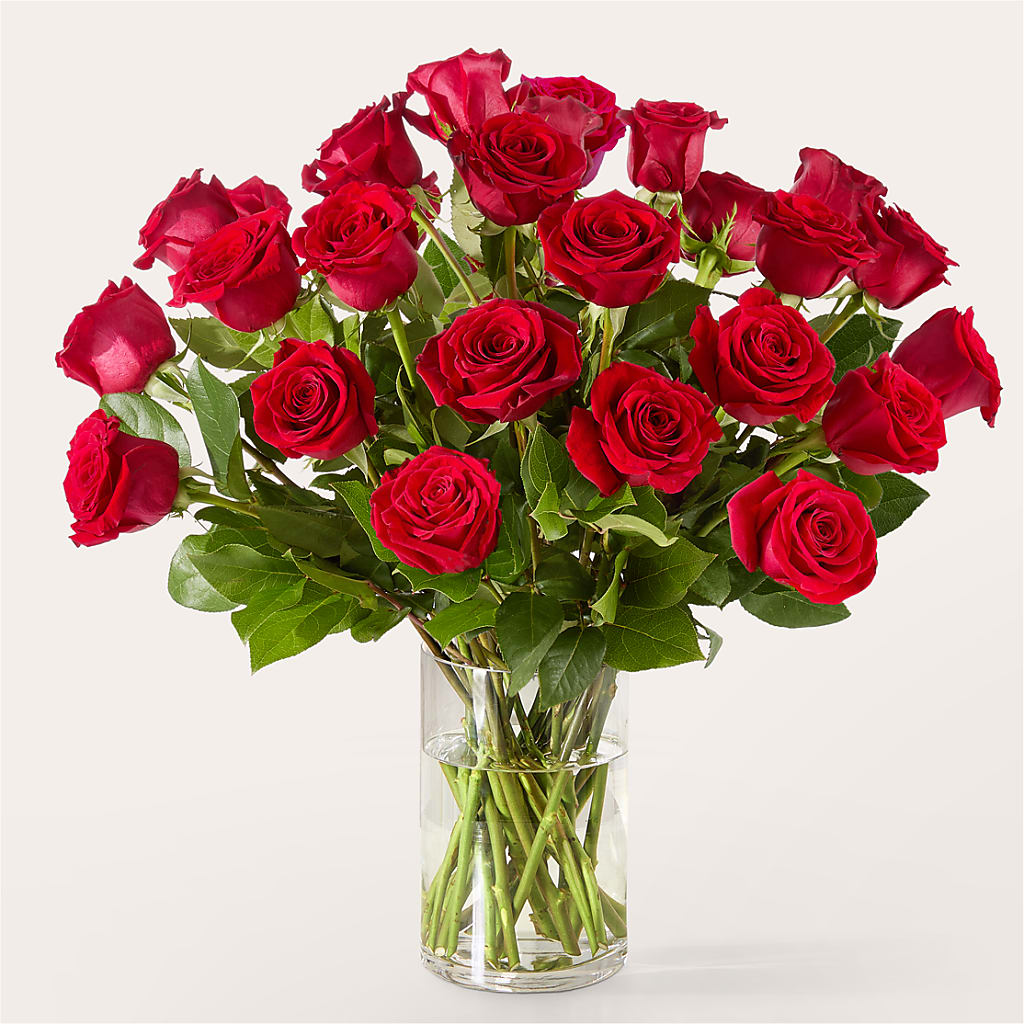 The One Red Rose Bouquet – BUDS CUT FLOWERS & MORE, Taos NM