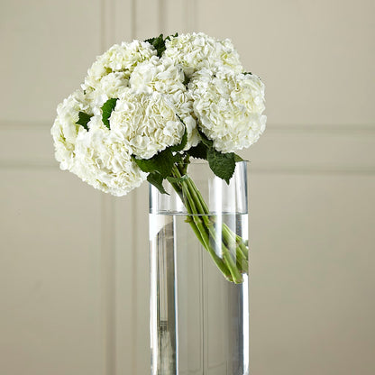 White Hydrangea Hand-Tied Bouquet – BUDS CUT FLOWERS & MORE, Taos NM
