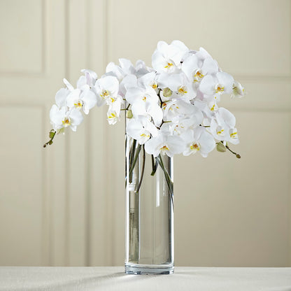 White Phalaenopsis Bouquet – BUDS CUT FLOWERS & MORE, Taos NM