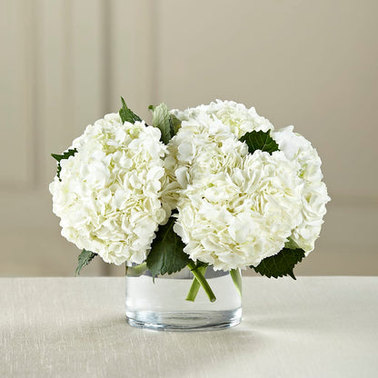 White Hydrangea Bouquet – BUDS CUT FLOWERS & MORE, Taos NM